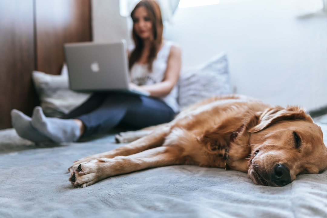 découvrez nos solutions d'assurance en ligne adaptées à vos besoins. simplifiez vos démarches et bénéficiez d'une protection optimale en quelques clics, avec des tarifs compétitifs et un service client à votre écoute.