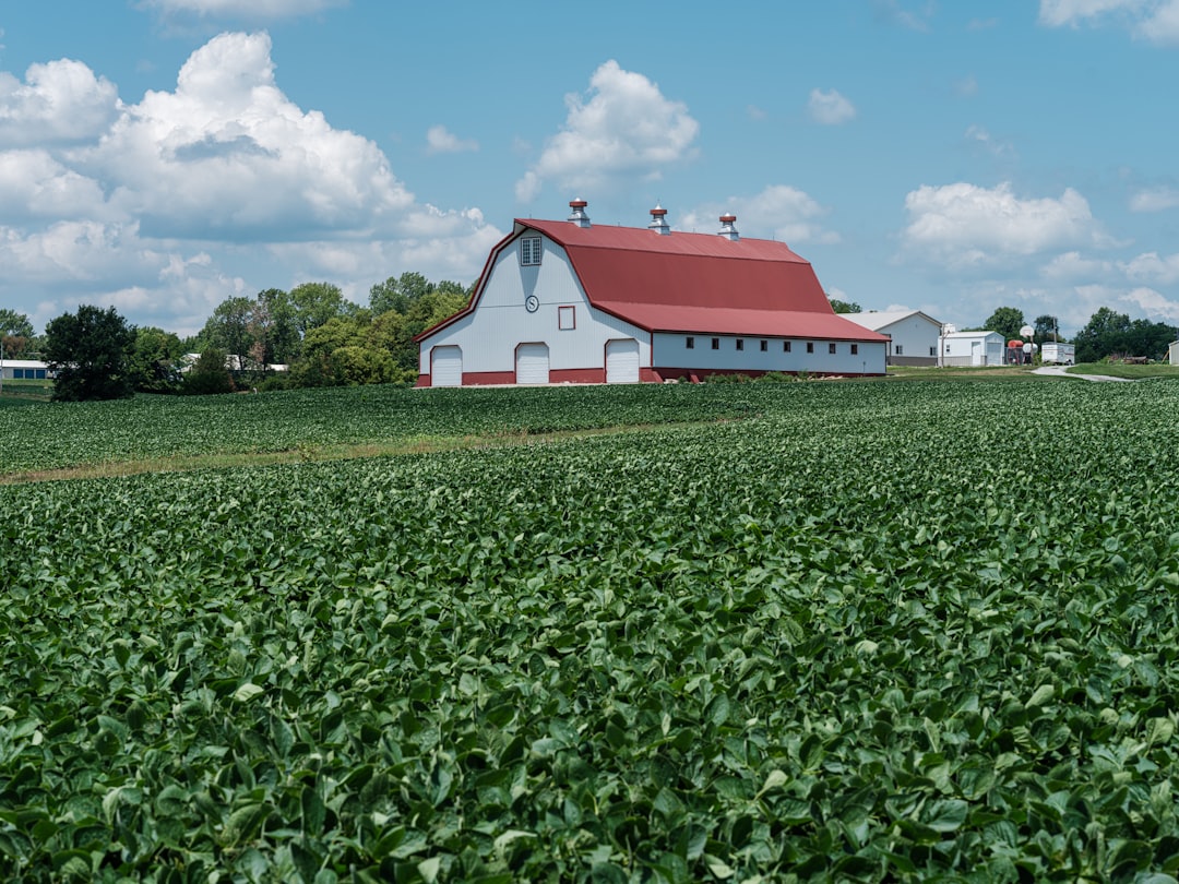 découvrez les avantages de l'assurance agricole : protégez vos cultures, sécurisez vos revenus et faites face aux aléas climatiques avec des solutions adaptées à vos besoins.