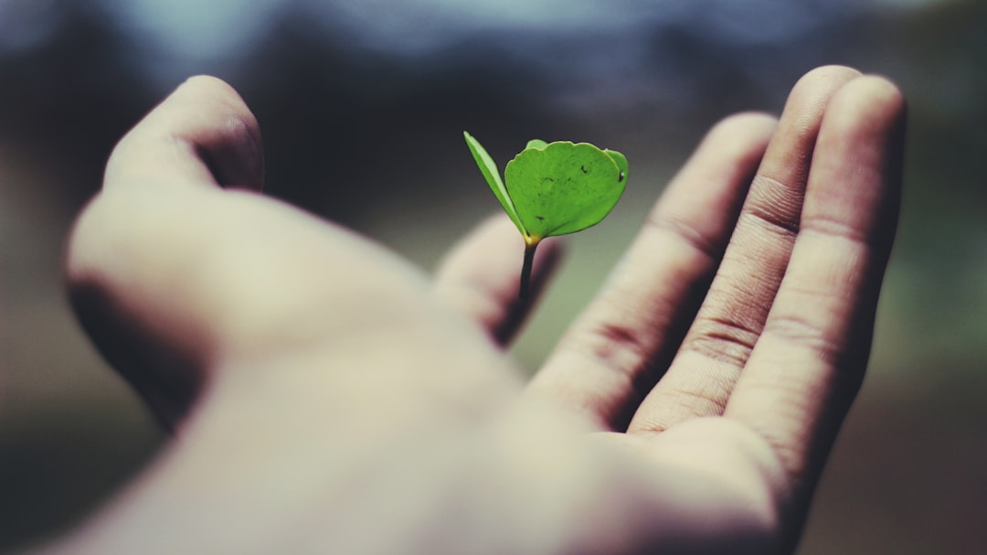 découvrez nos solutions d'assurance sur mesure pour protéger votre avenir et celui de vos proches. profitez de conseils d'experts et d'une gamme complète de produits adaptés à vos besoins.